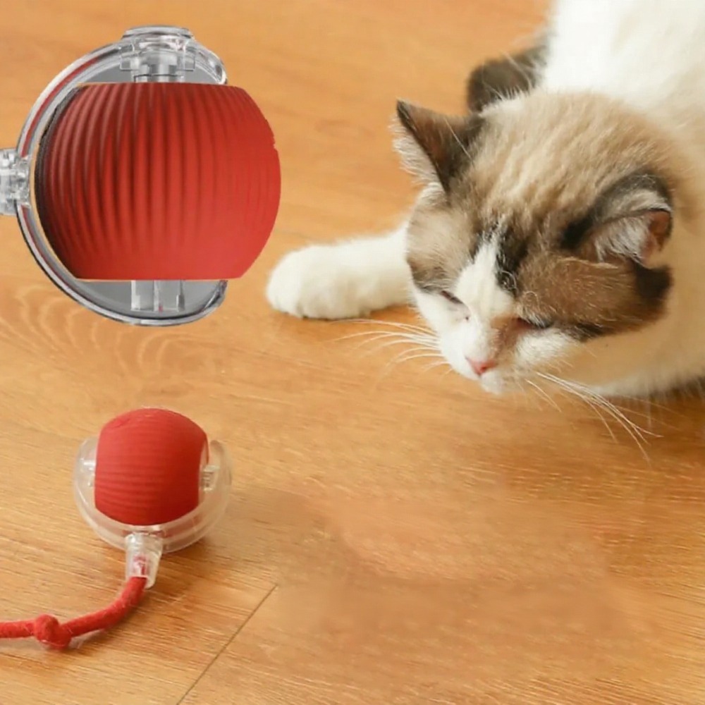 Pelota Interactiva Automática con Cola Simulada – Juguete Inteligente Recargable para Gatos y Perros - Imagen 3