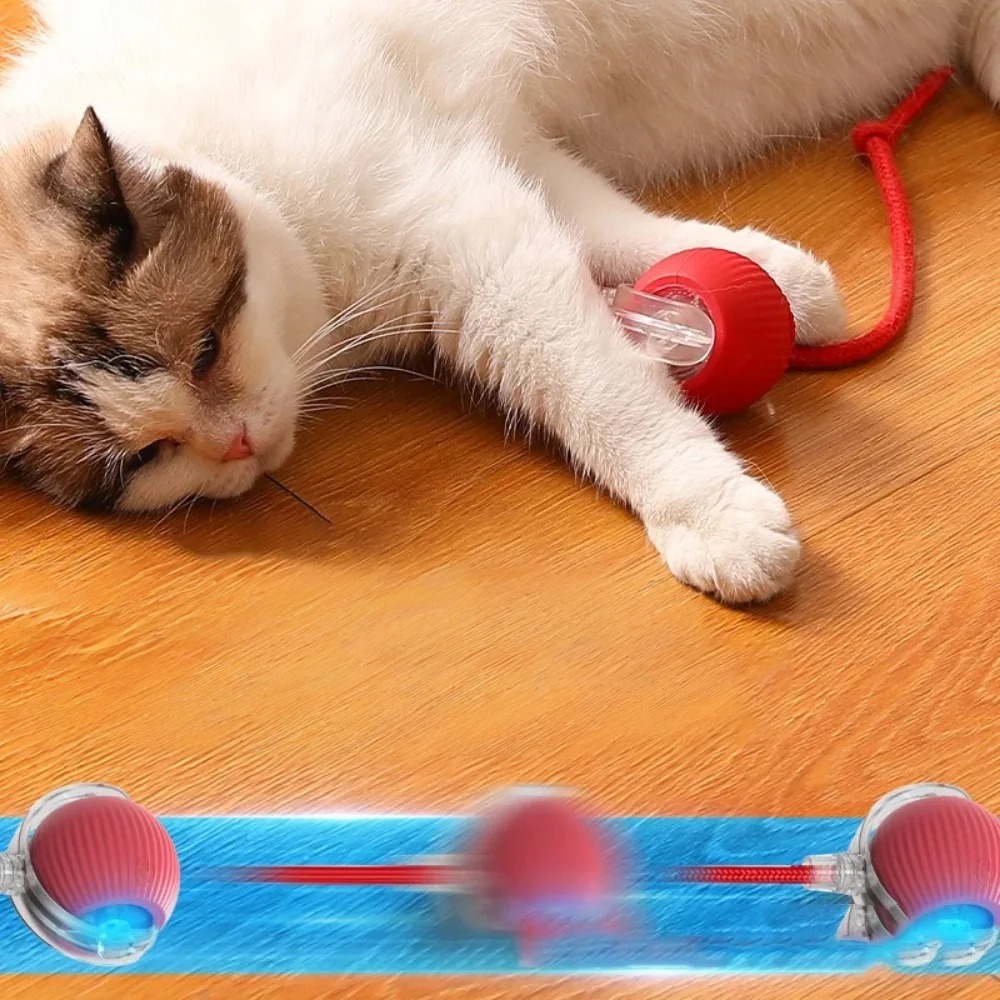 Pelota Interactiva Automática con Cola Simulada – Juguete Inteligente Recargable para Gatos y Perros - Imagen 4
